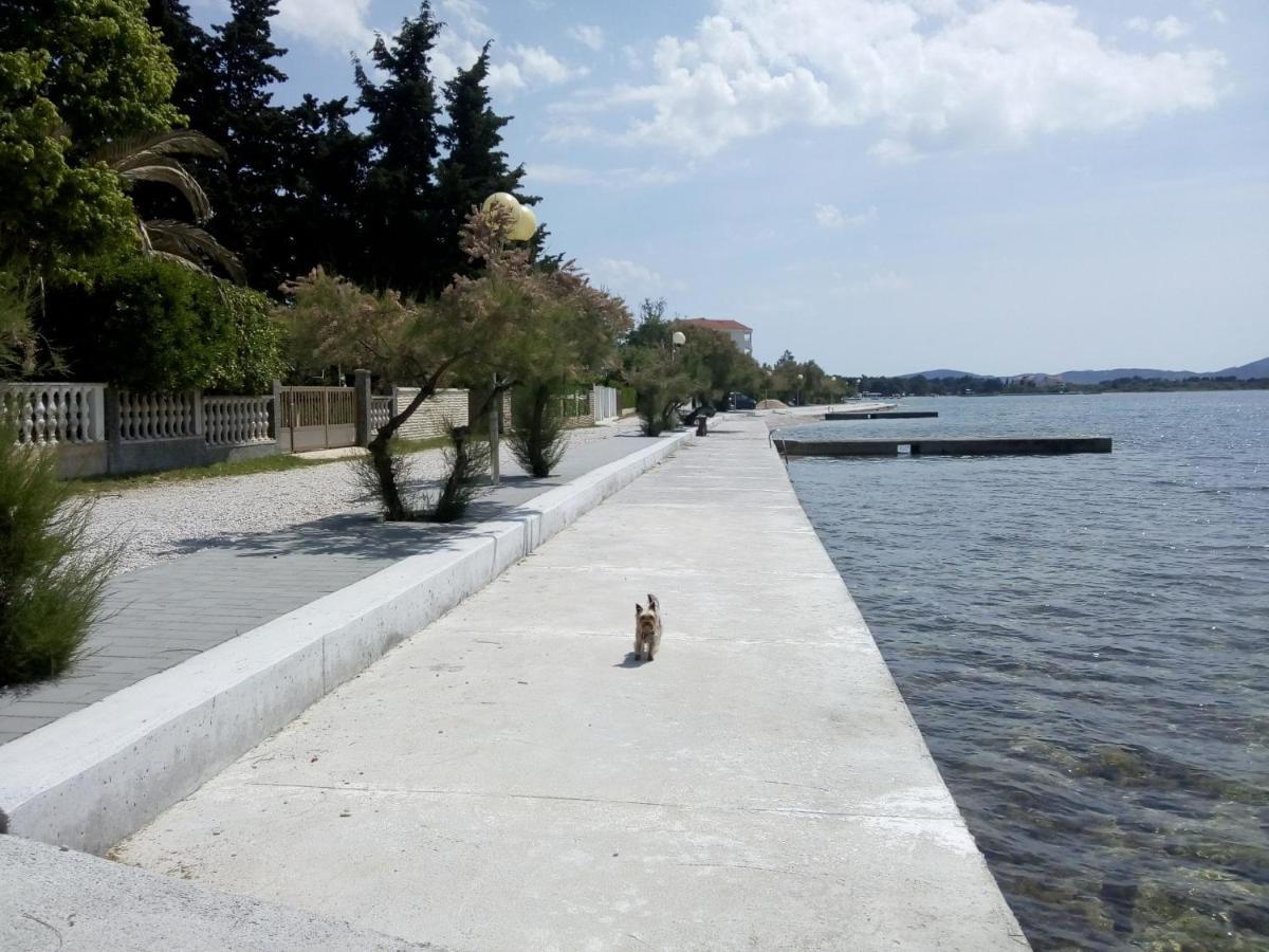 Apartments Franica Zadar Bagian luar foto